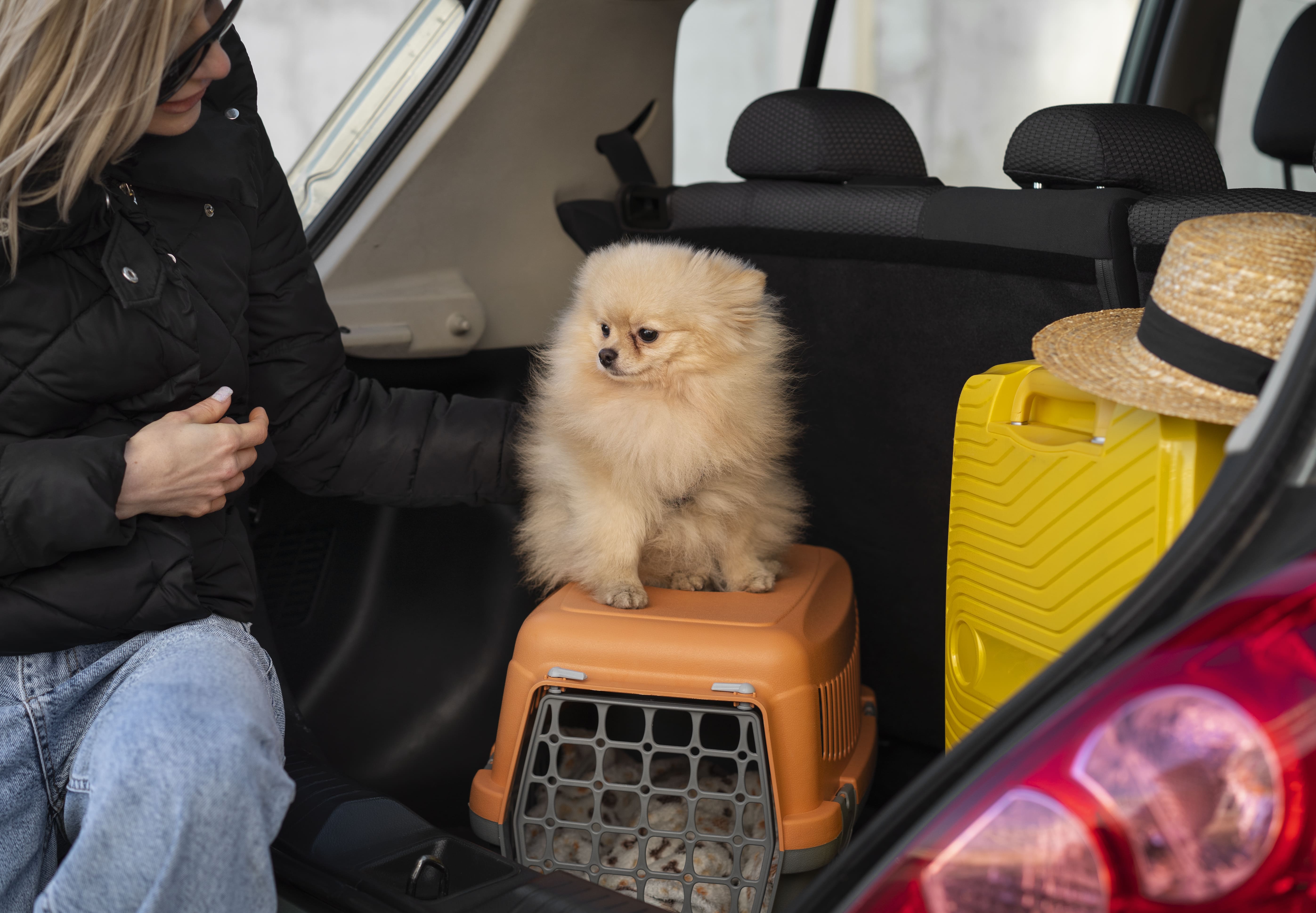 Traveling With Pets - woman with with dog in car